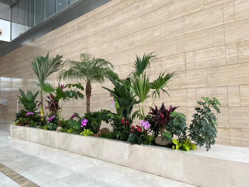 知晓江北花木出租价，省钱小妙招